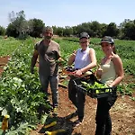 Feriegård Masseria Fulcignano