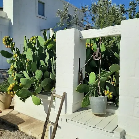 Gospodarstwo agroturystyczne Masseria Fulcignano