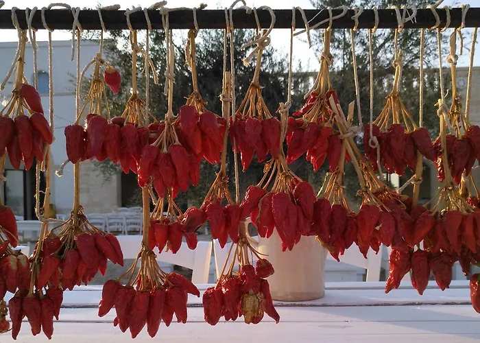 Farm stay Masseria Fulcignano