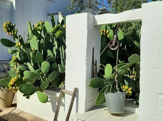 Lantgård Masseria Fulcignano