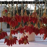 Alojamento de Turismo Rural Masseria Fulcignano
