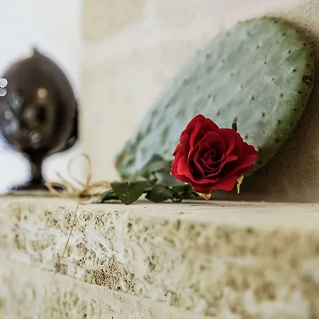 Masseria Fulcignano Lantgård Seclì