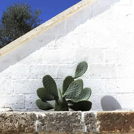 Vakantieboerderij Masseria Fulcignano *