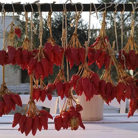 Bauernhof Masseria Fulcignano