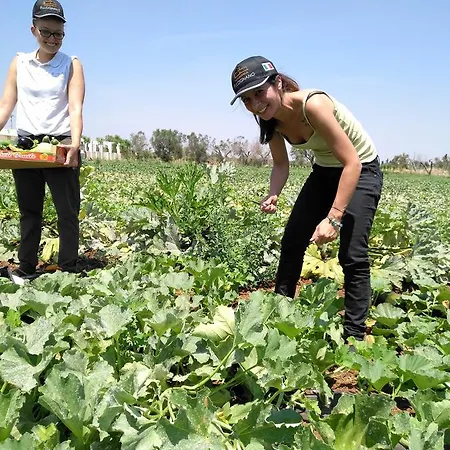 Masseria Fulcignano 农家乐