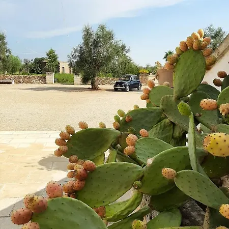Lantgård Masseria Fulcignano Seclì