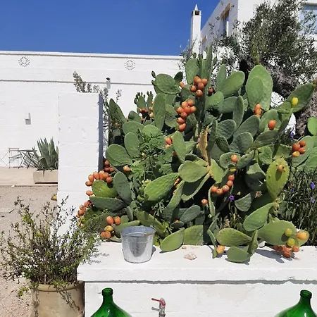 Masseria Fulcignano Seclì
