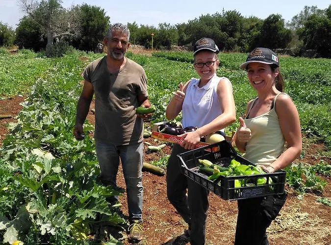 Κατάλυμα σε φάρμα Masseria Fulcignano