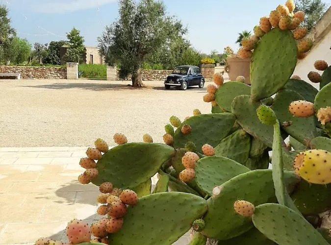 Κατάλυμα σε φάρμα Masseria Fulcignano Galatone
