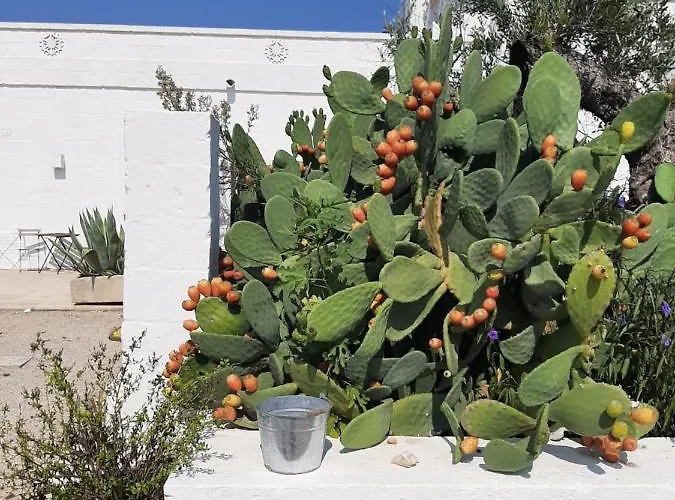 Masseria Fulcignano Galatone
